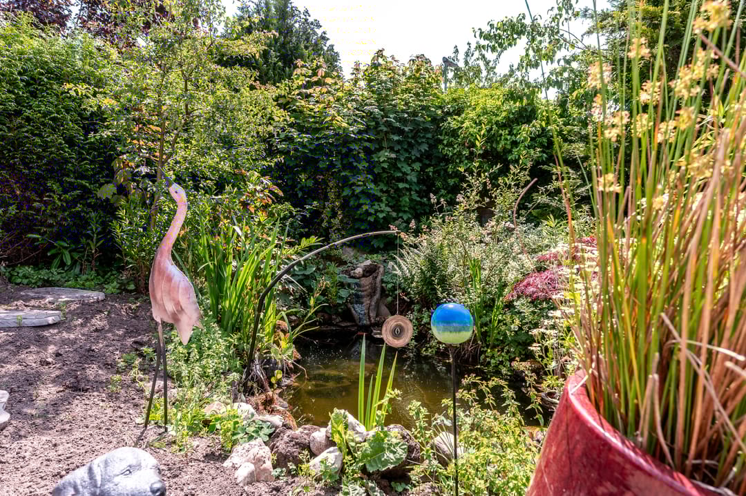 Foto 32 van Botter 38 50