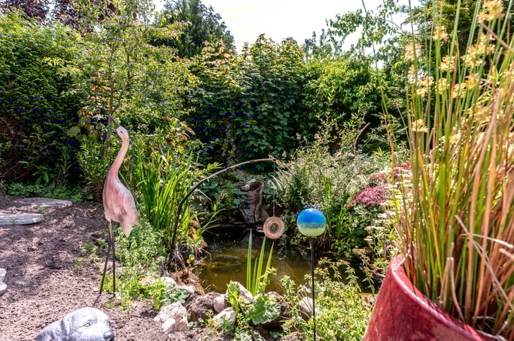 Photo 32 of Botter 38 50