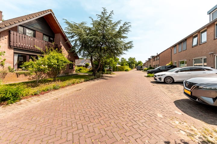 Photo 35 of Botter 38 50