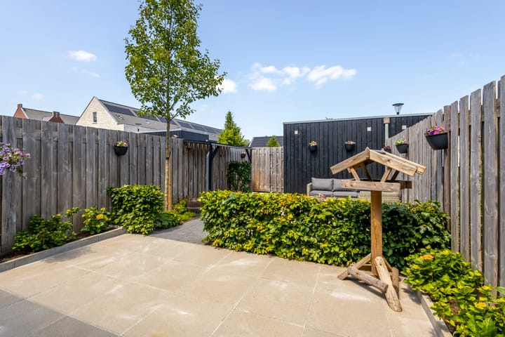 Photo 32 of Brederode 10