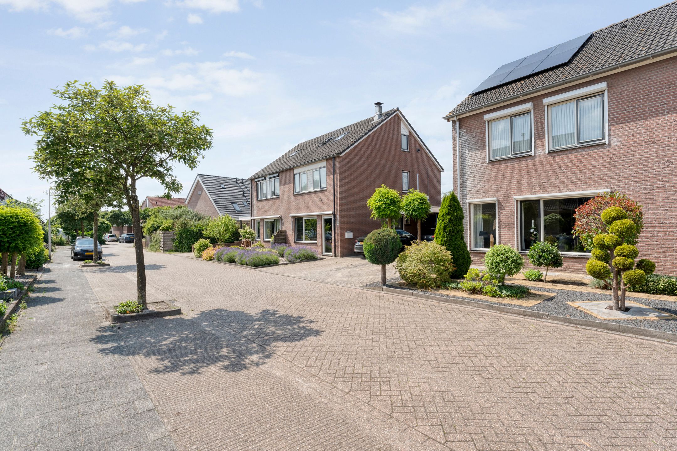 Foto 3 van Kleinhaar 49