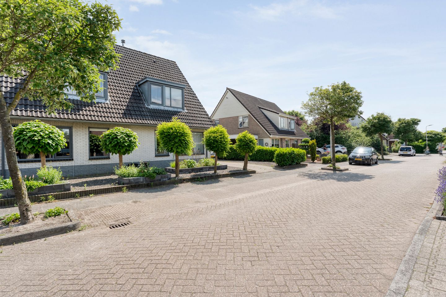 Foto 5 van Kleinhaar 49