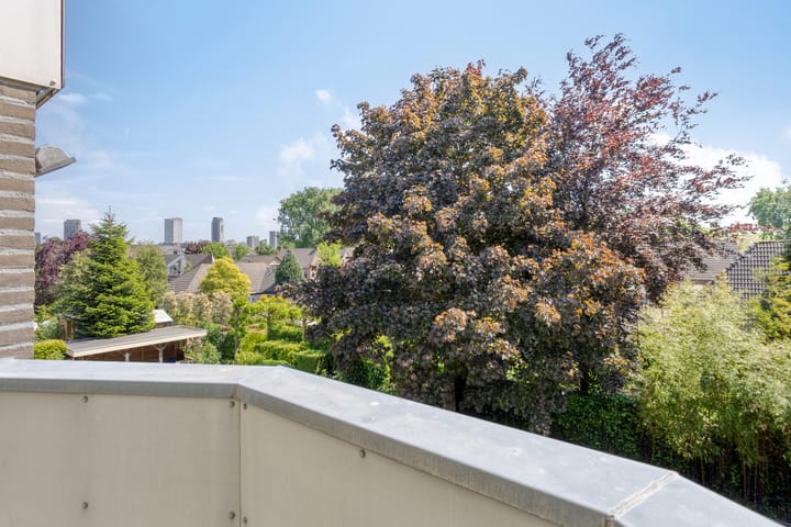 Foto 52 van Engelsbergenstraat 59