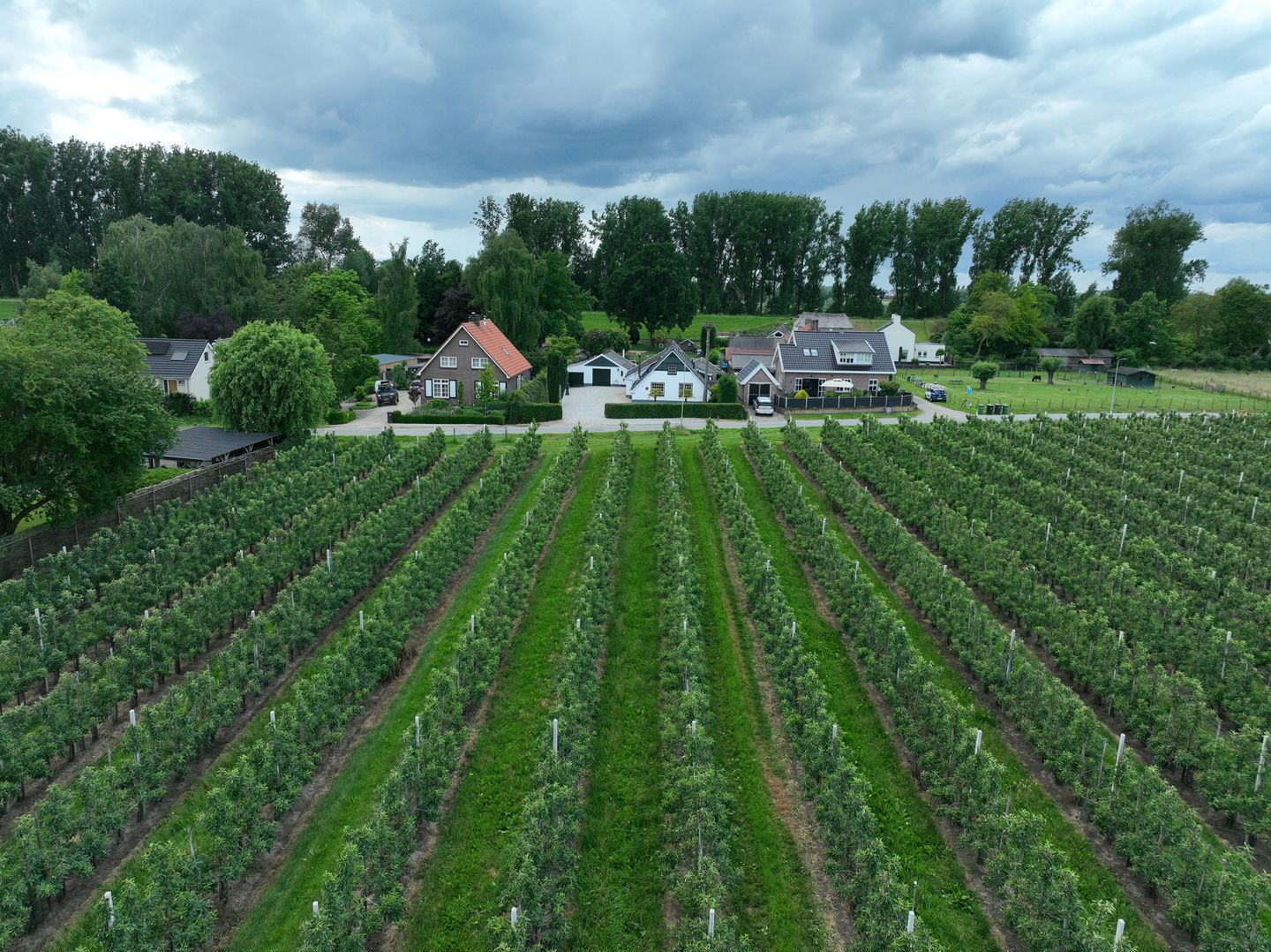 Foto 4 van Polstraat 21