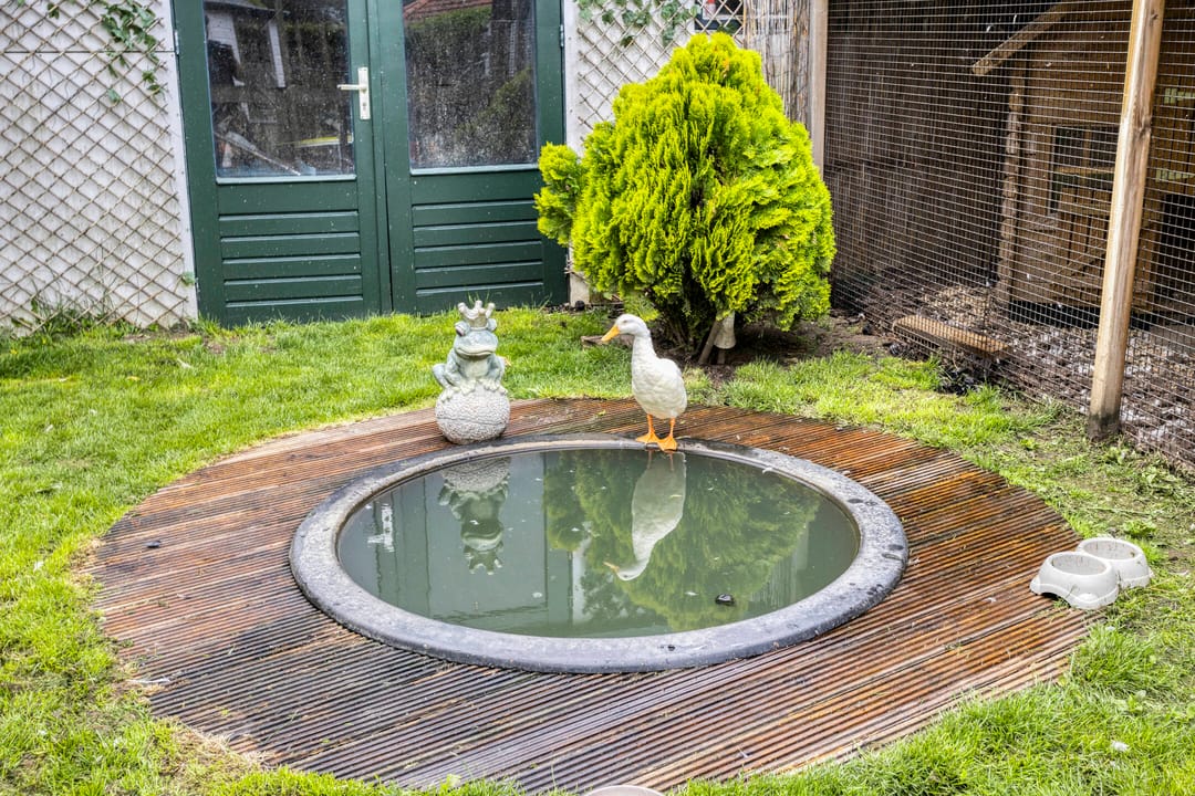 Foto 53 van Polstraat 21