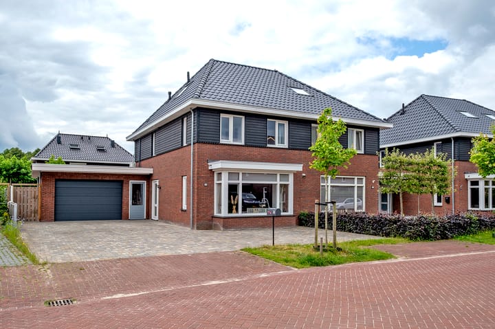 undefined main image