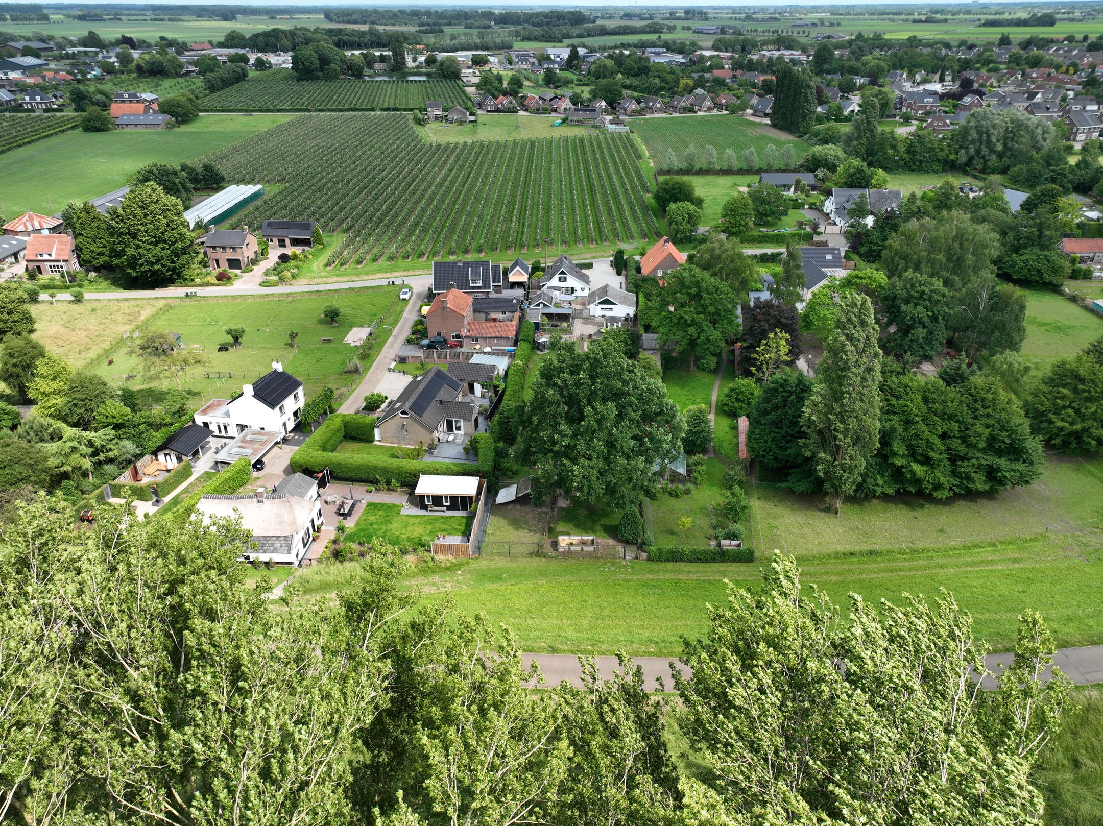 Foto 57 van Polstraat 21