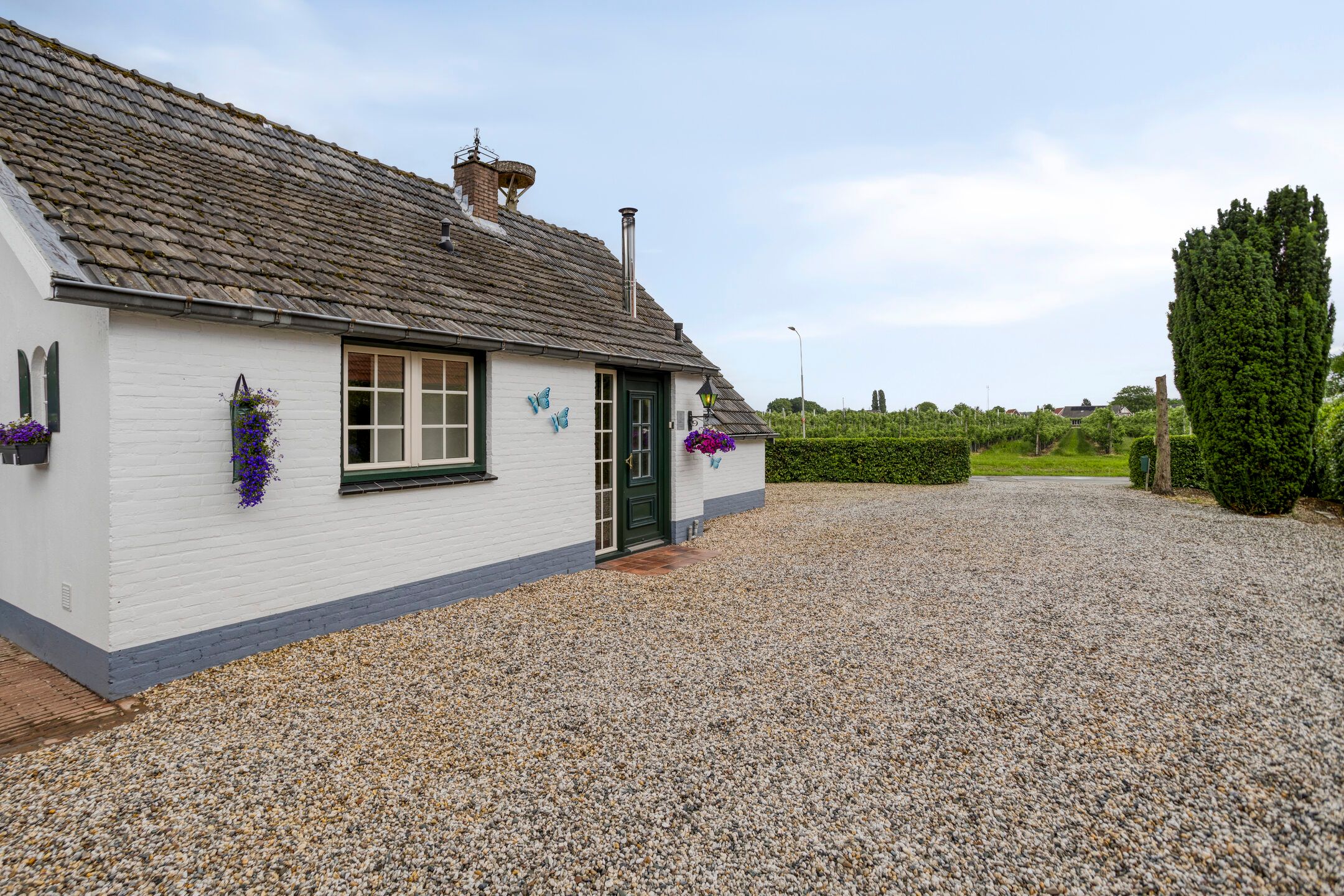 Foto 63 van Polstraat 21