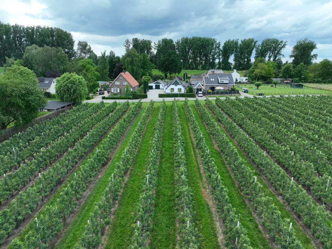 Foto 67 van Polstraat 21