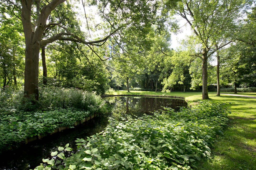 Photo 23 of Madridplantsoen 165