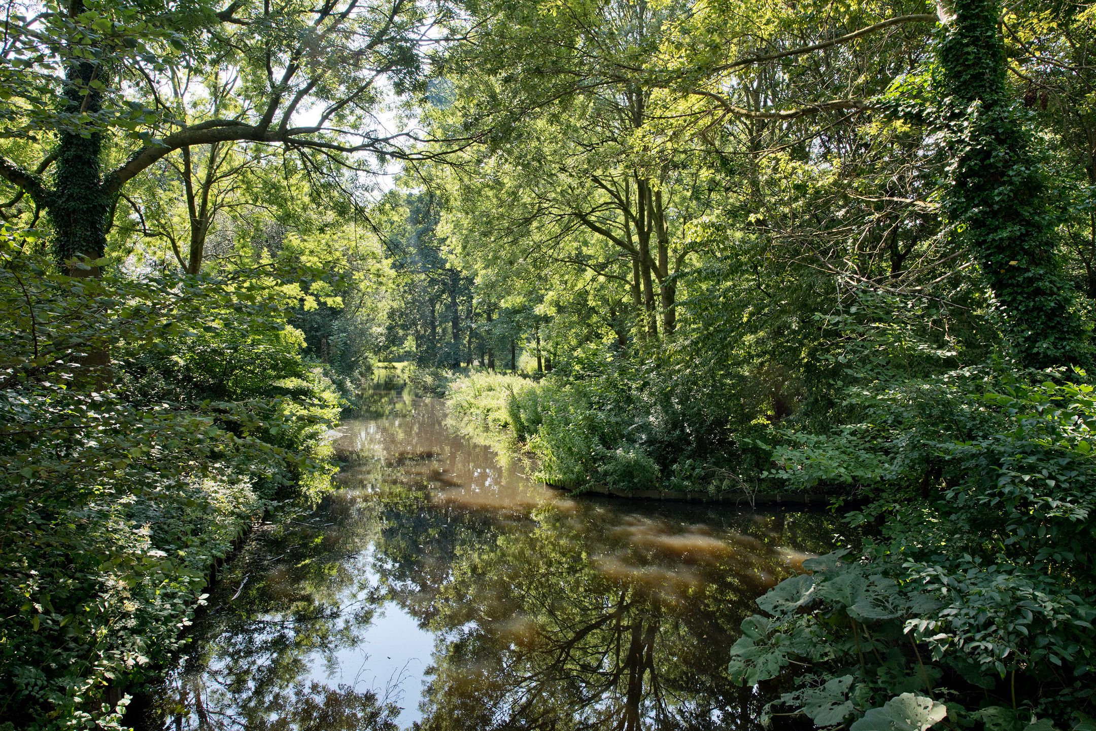 Photo 27 of Madridplantsoen 165