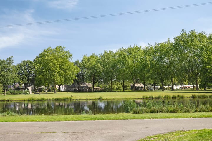 Foto 44 van Grasklokje 112