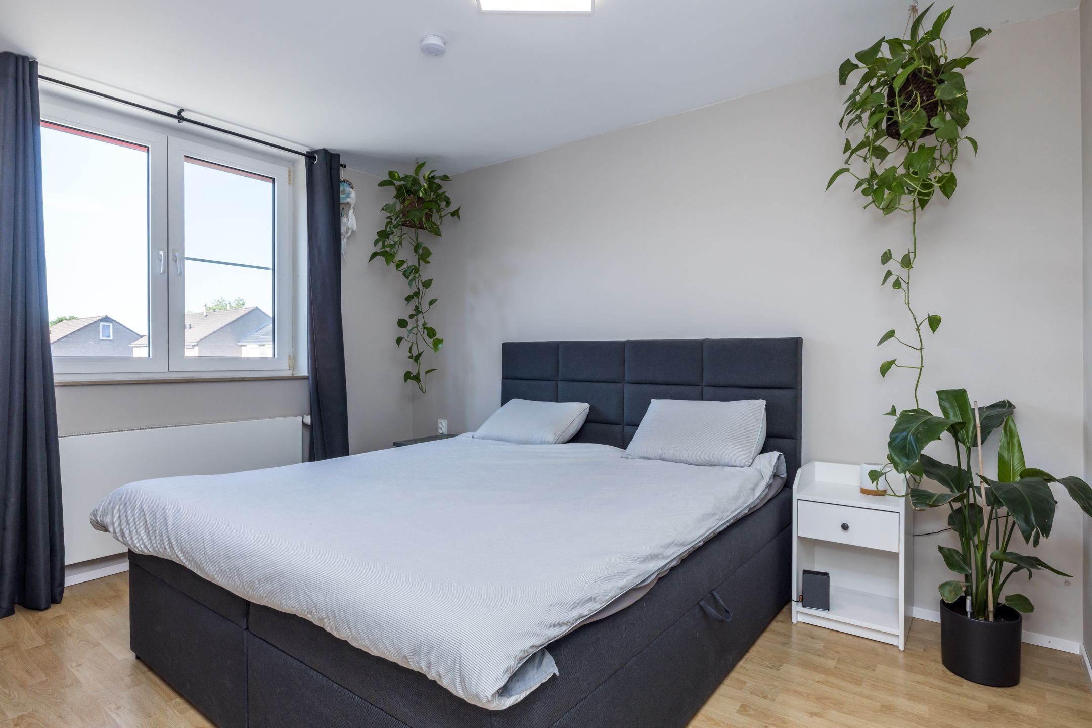 Foto 12 van Pungel 31