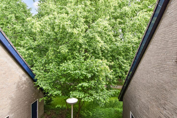 Foto 28 van Wingerdpark 52