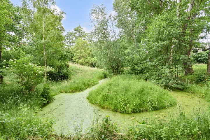 Foto 32 van Wingerdpark 52