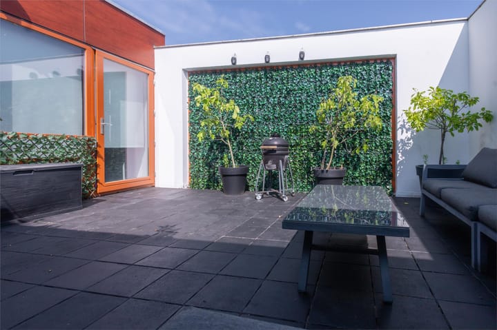 Foto 10 van Zandhaai 3