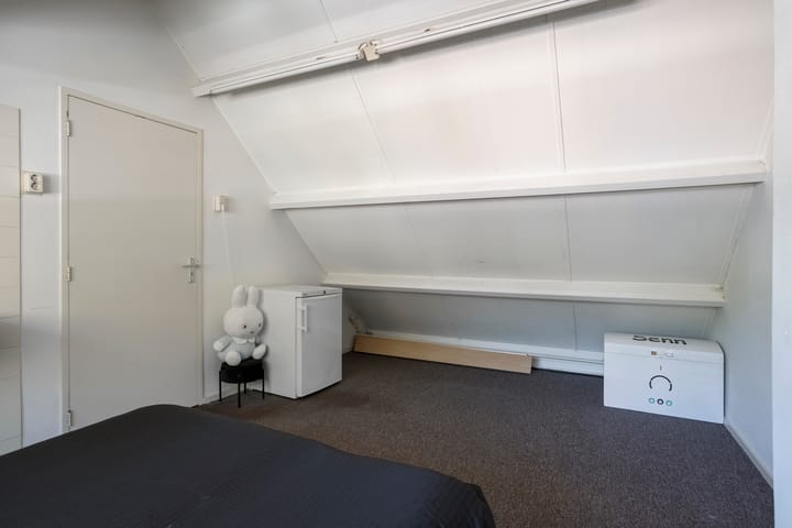 Foto 29 van Adelaertstraat 29