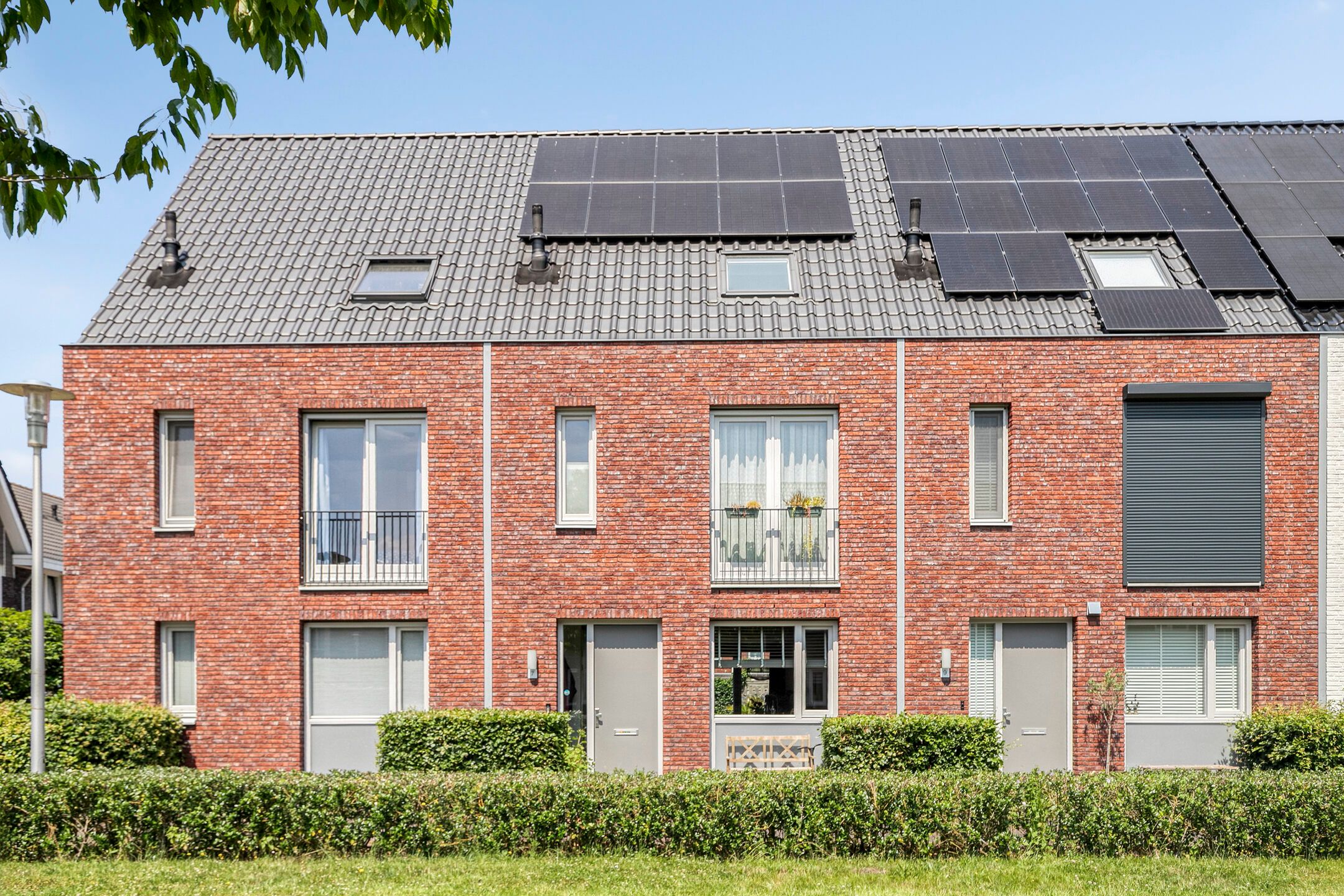 Foto 36 van Inktzwam 7