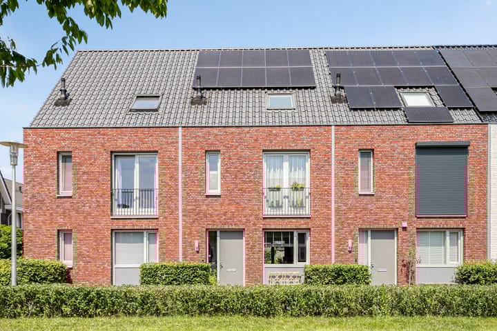 Foto 36 van Inktzwam 7