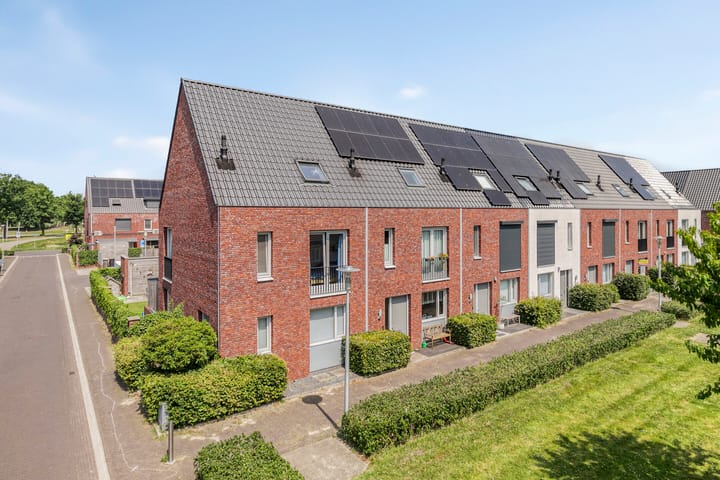 Foto 37 van Inktzwam 7