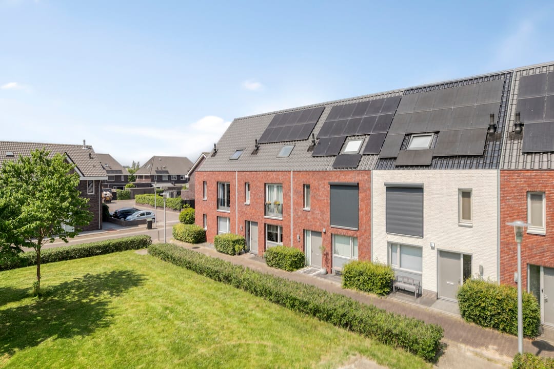 Foto 38 van Inktzwam 7