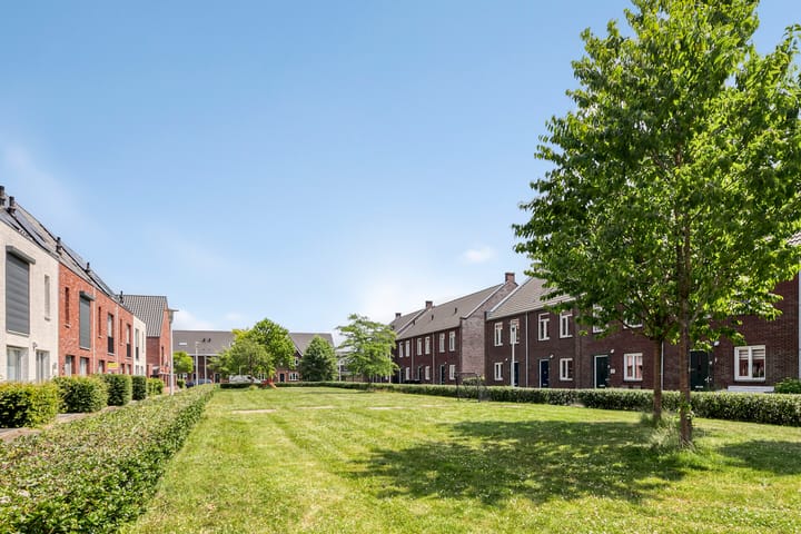 Foto 40 van Inktzwam 7