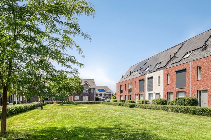 Foto 39 van Inktzwam 7