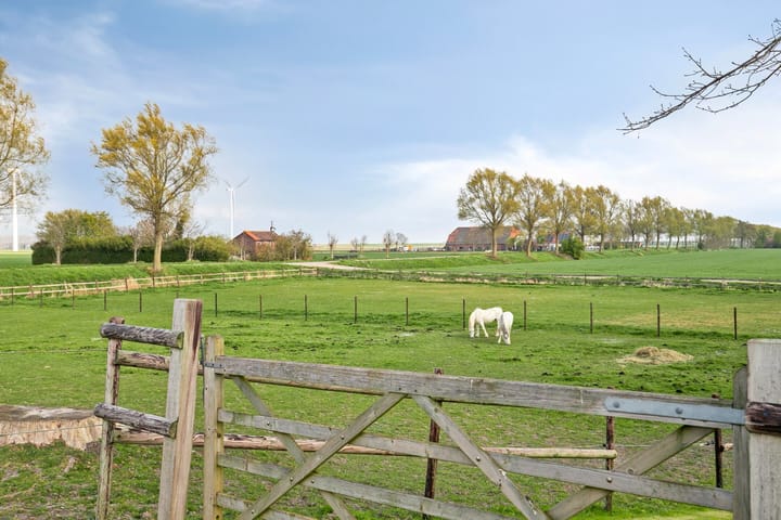 Foto 34 van Wilhelminadijk 3