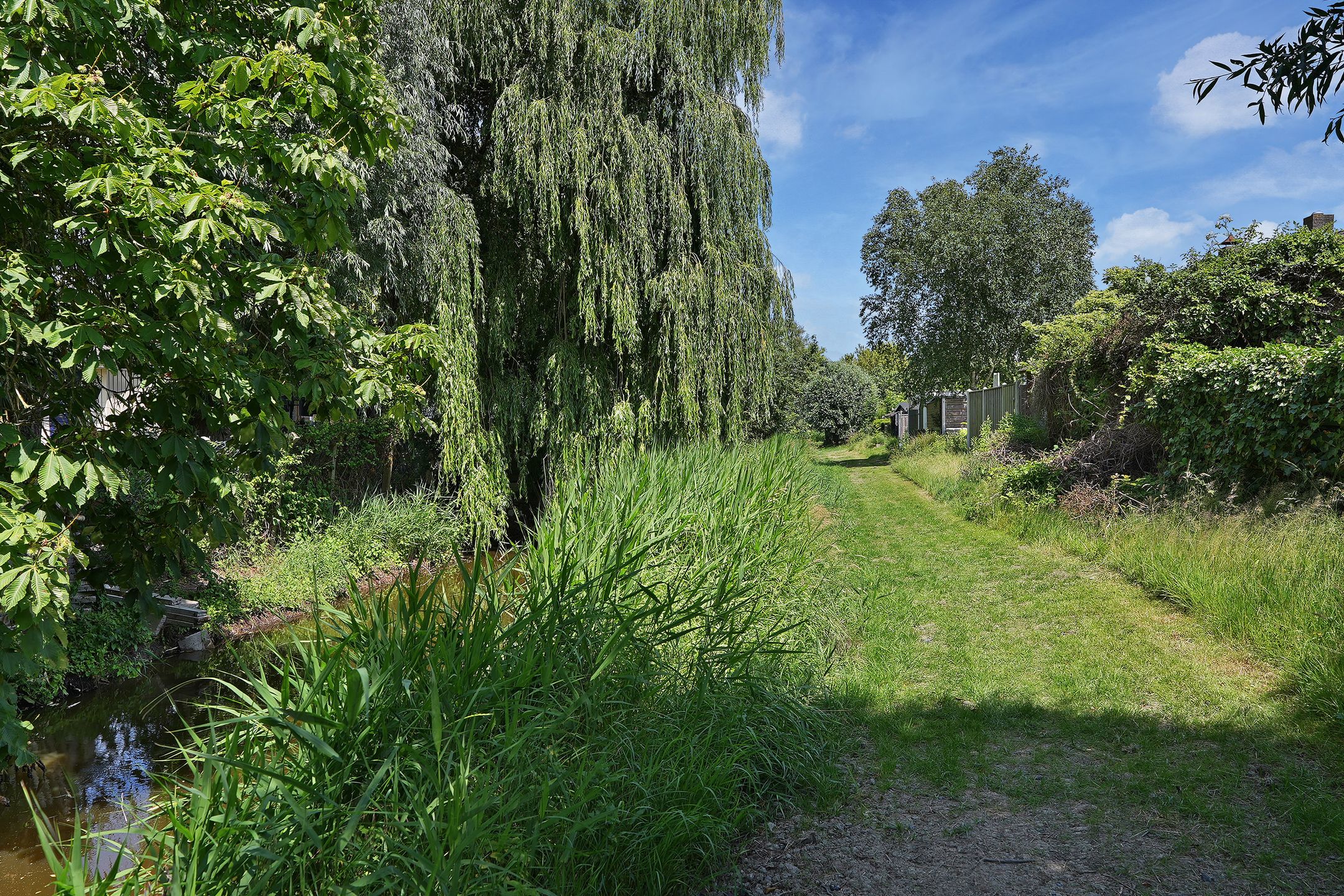 Foto 30 van Offenbachlaan 40