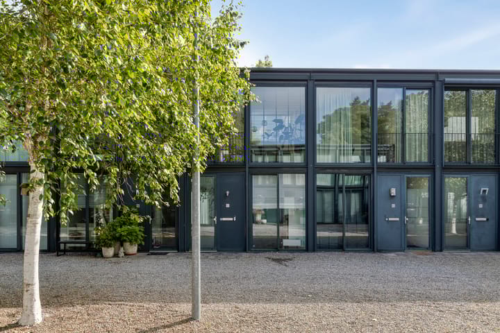 Foto 6 van Bosruiter 62