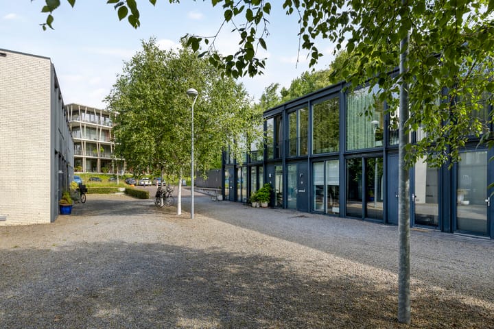 Foto 7 van Bosruiter 62