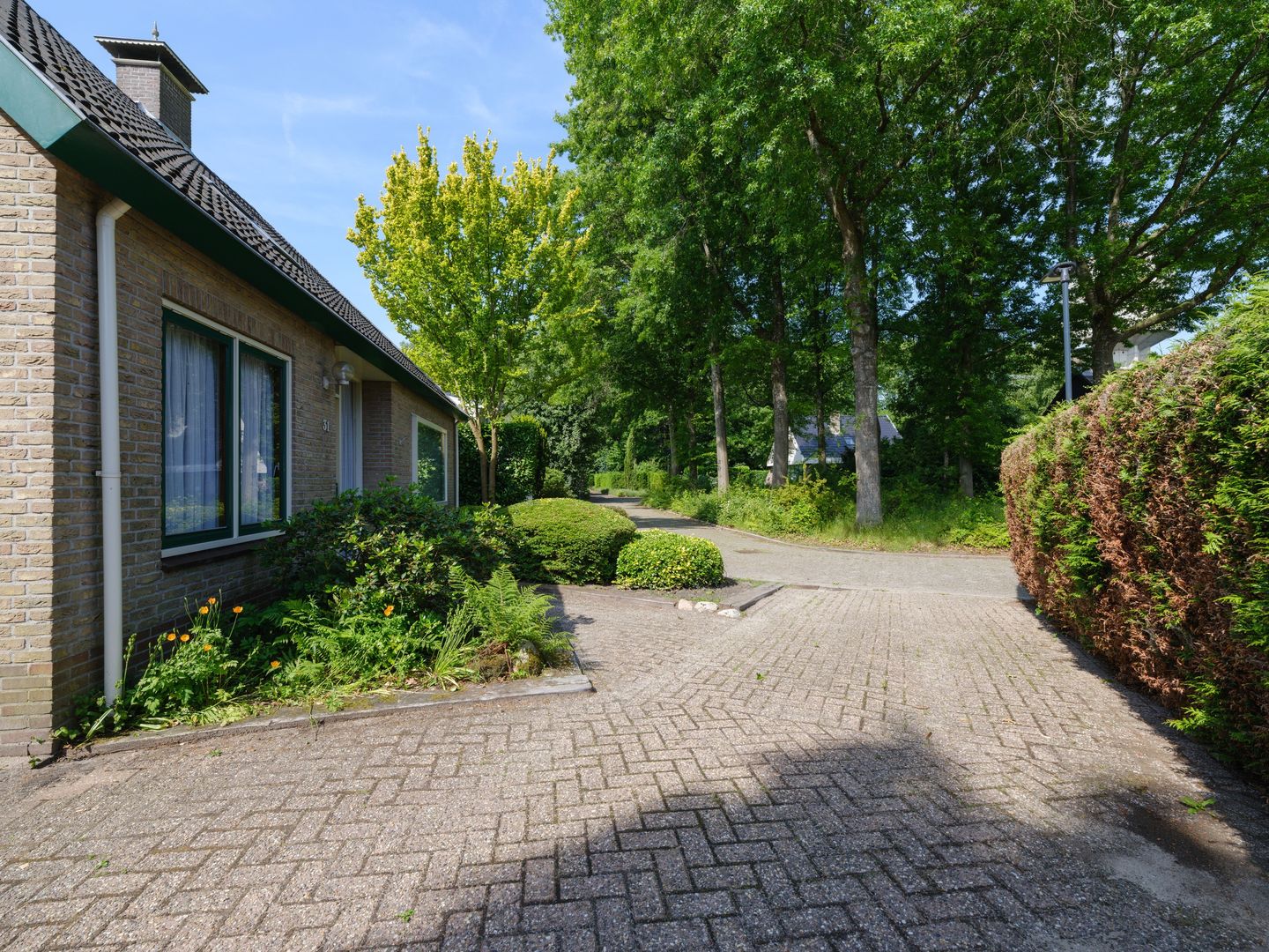 Foto 5 van De Twee Gebroeders 31