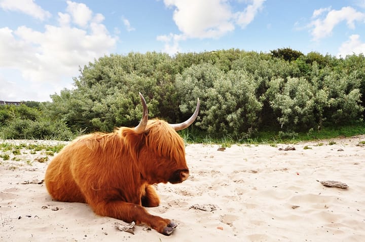 Foto 40 van Zeezwaluwstraat 155