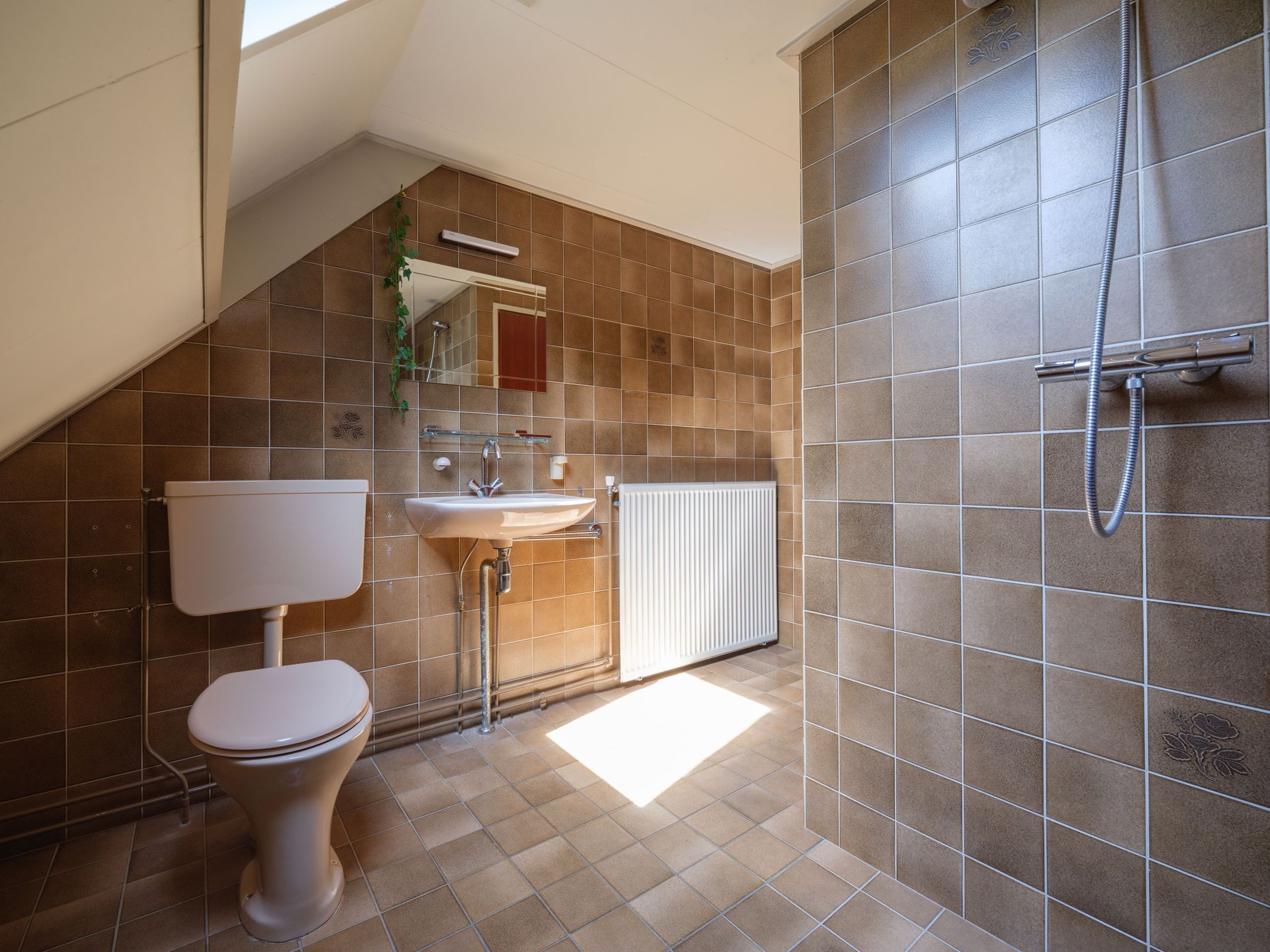 Foto 30 van De Twee Gebroeders 31