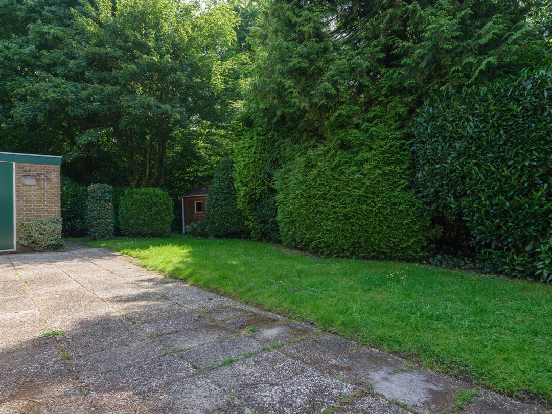 Foto 43 van De Twee Gebroeders 31