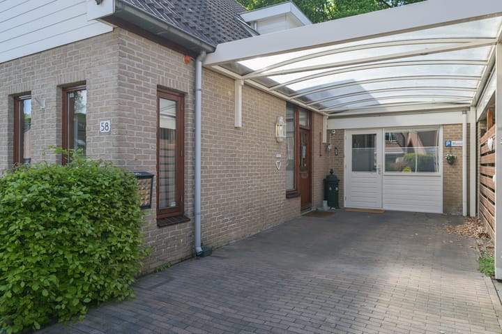 Foto 50 van Rengersland 58