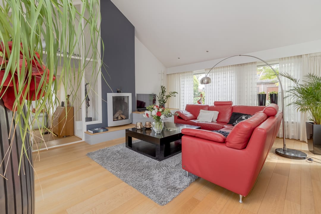 Photo 7 of Mariamunster 37