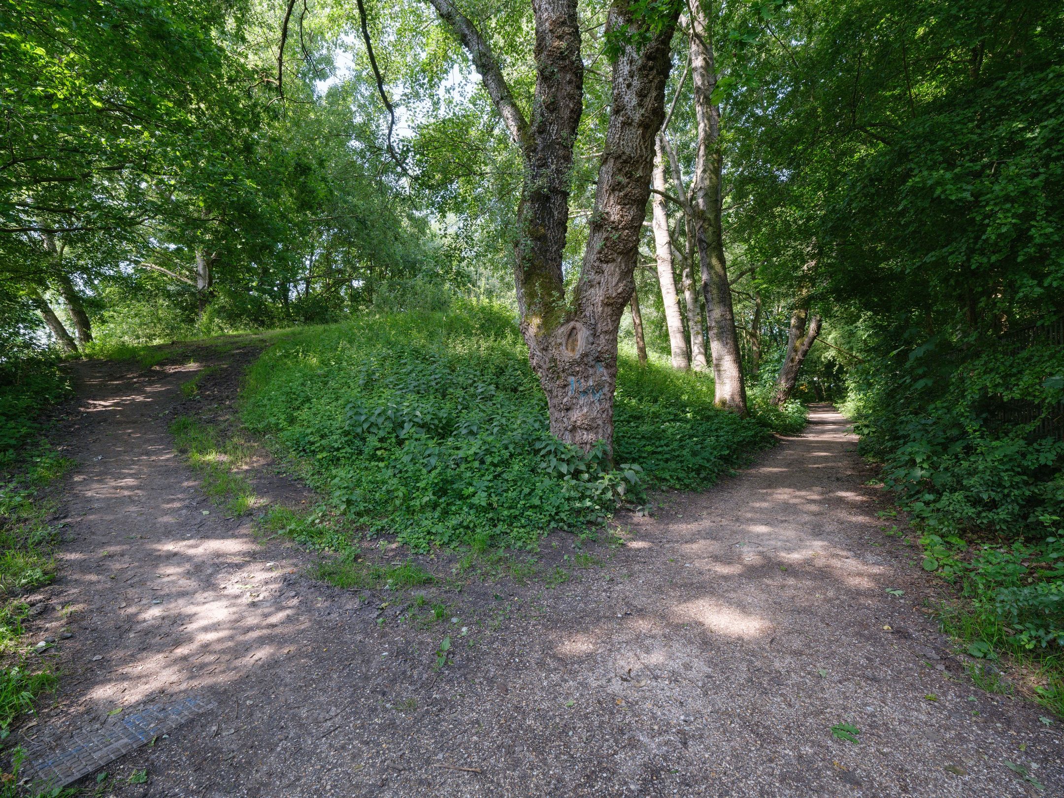 Foto 54 van De Twee Gebroeders 31