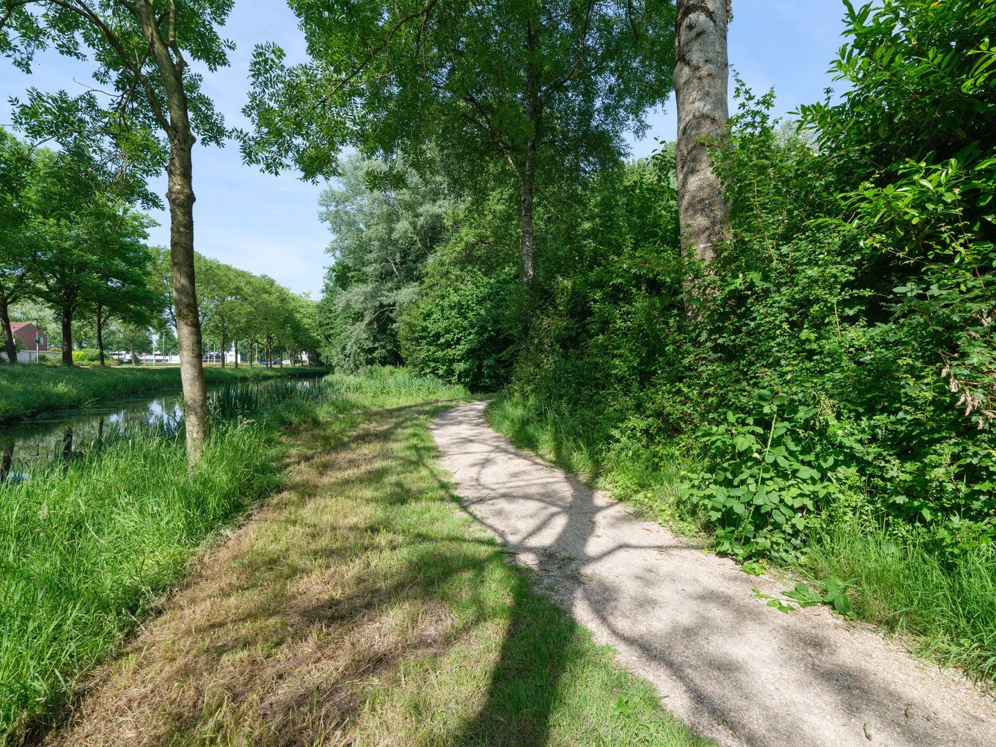 Foto 55 van De Twee Gebroeders 31