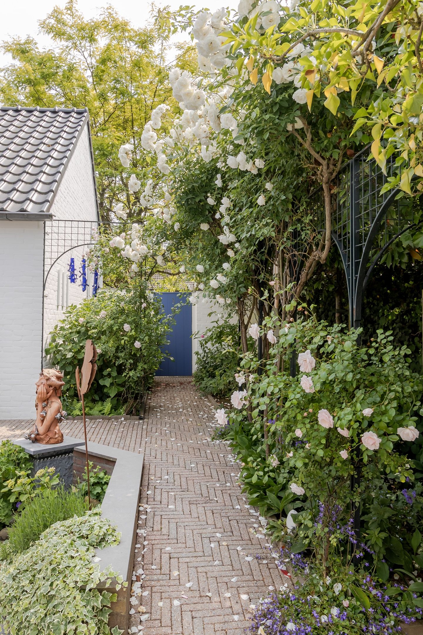 Photo 50 of Mariamunster 37