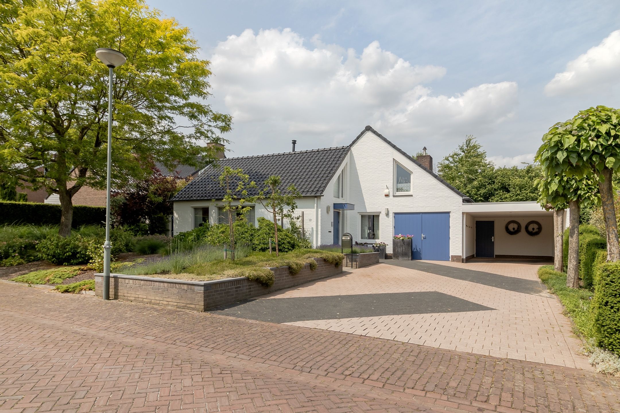 Photo 60 of Mariamunster 37