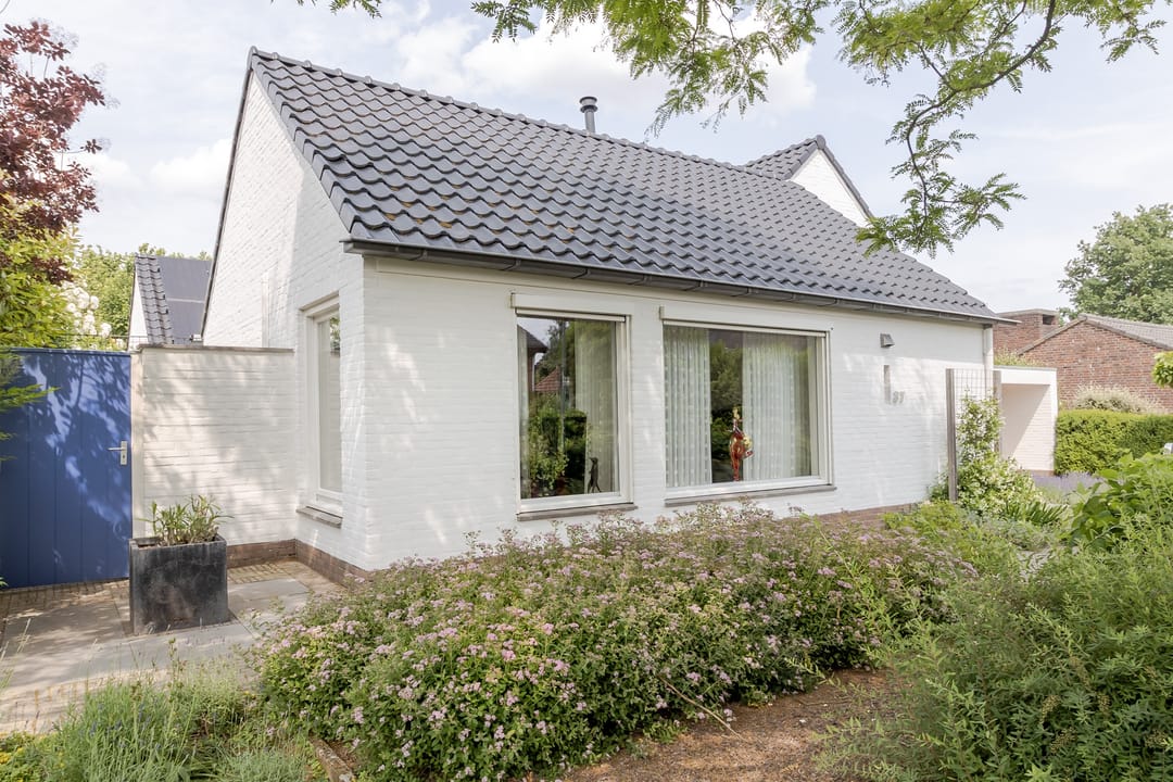 Photo 61 of Mariamunster 37