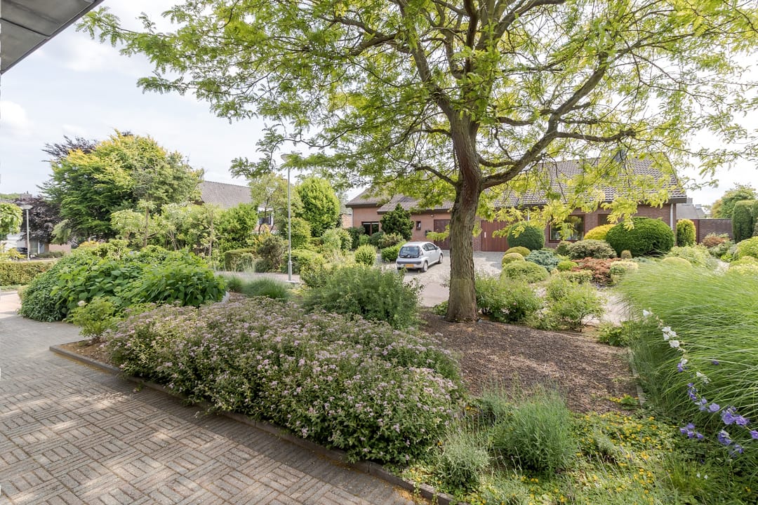 Photo 62 of Mariamunster 37