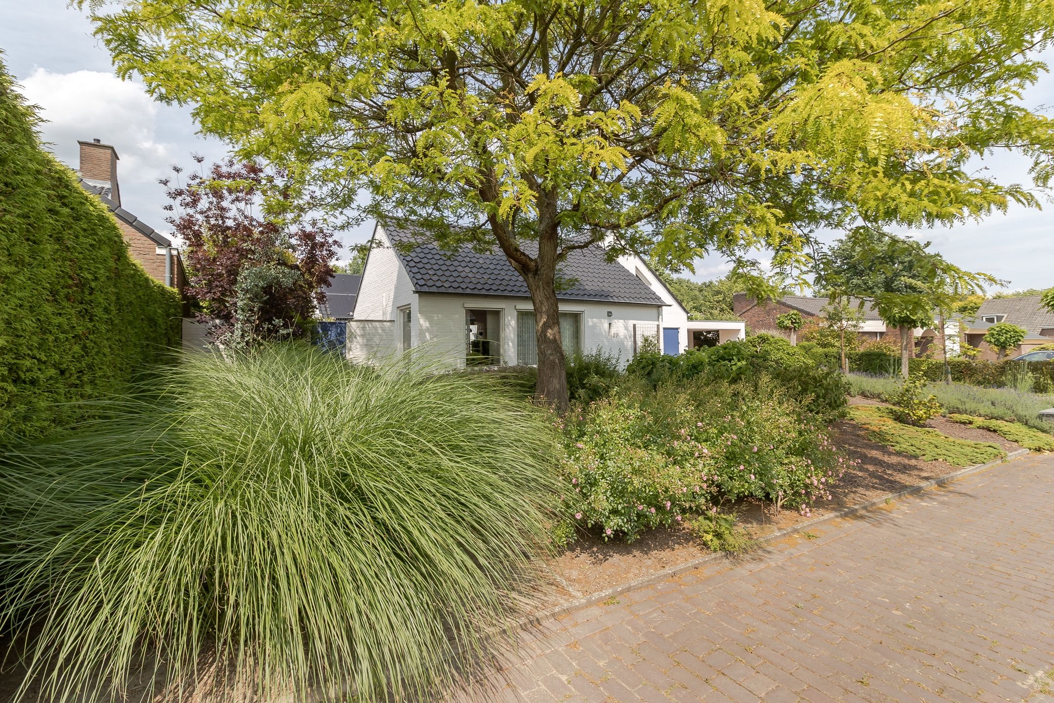 Photo 63 of Mariamunster 37