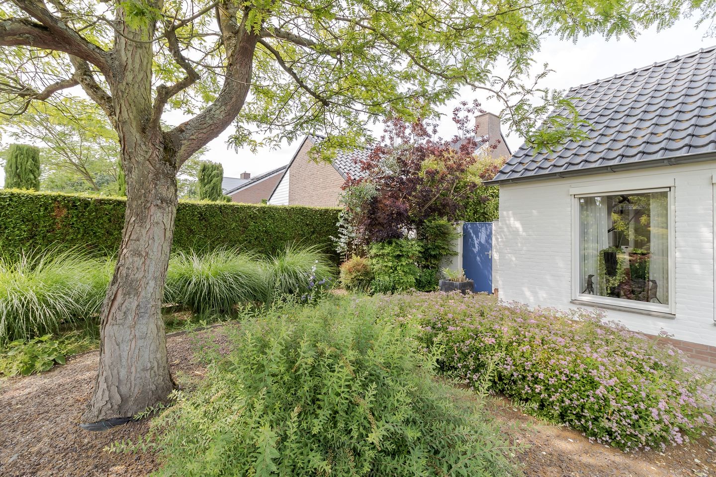 Photo 64 of Mariamunster 37