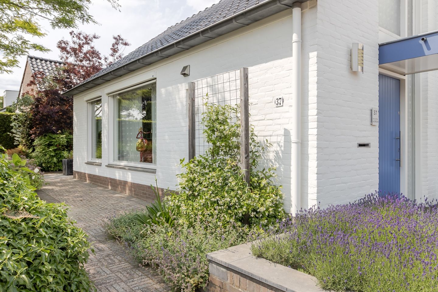 Photo 65 of Mariamunster 37