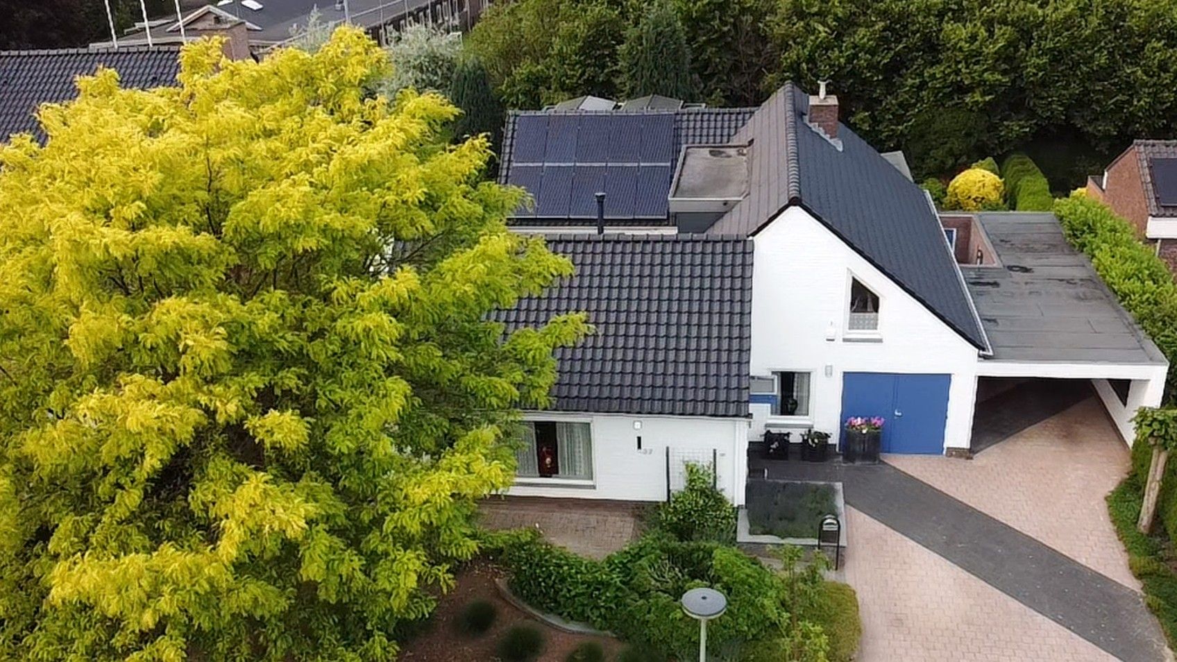 Photo 66 of Mariamunster 37