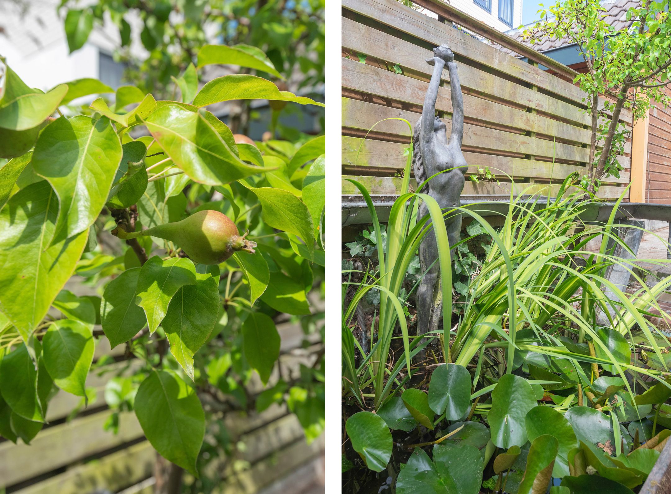 Foto 21 van Linschotenstraat 37