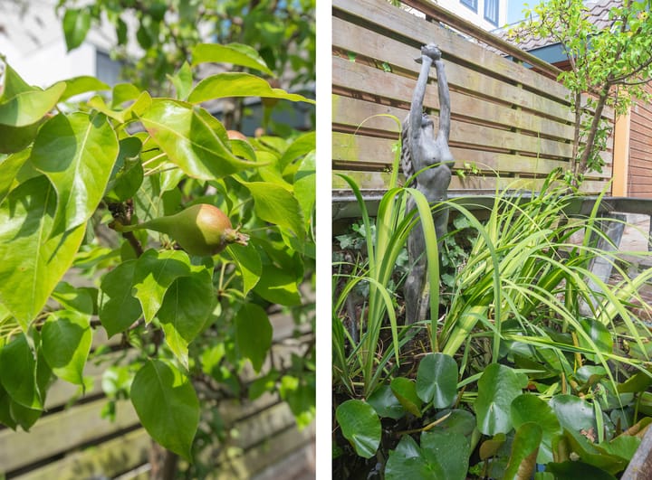 Foto 21 van Linschotenstraat 37