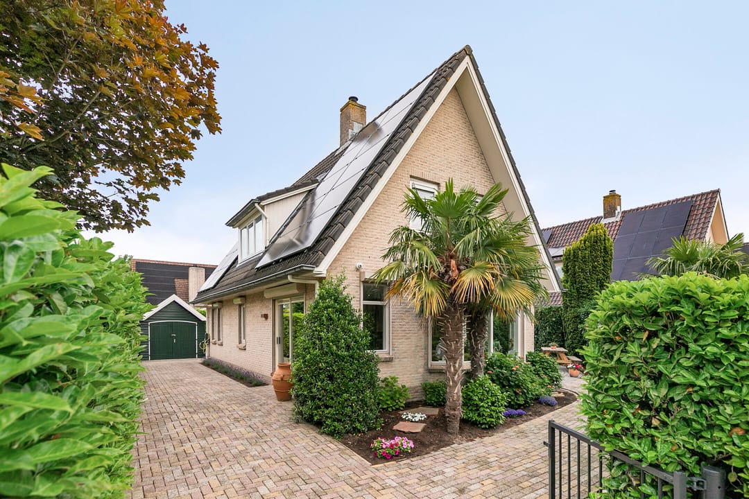 Foto 1 van Zeekraal 67